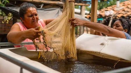 Aquaponics is helping people in Honduras grow food.