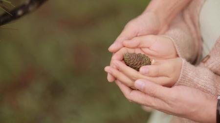 A parents hands hold a toddlers hands holding a pine cone