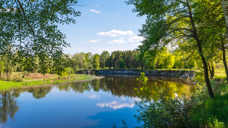 an idyllic view of a river surrounded by trees