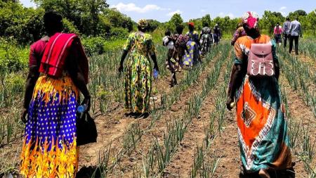 Farmers in Uganda check out their crops as they learn new techniques from a Resonate program.