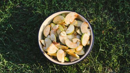 A bowl of apple slices sits in the grass