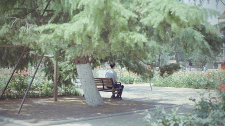 A person sitting alone on a park bench