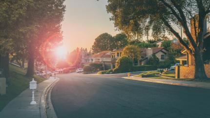 A neighborhood street in sunlight
