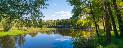 an idyllic view of a river surrounded by trees