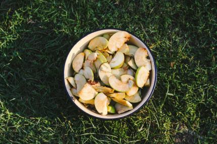 A bowl of apple slices sits in the grass