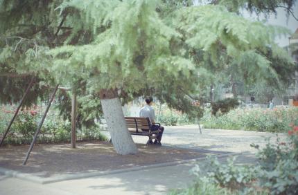 A person sitting alone on a park bench