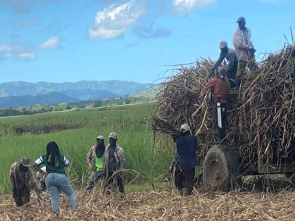 People working in a field 