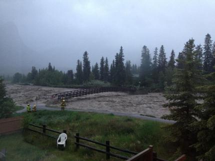 Cougar Creek in Canmore