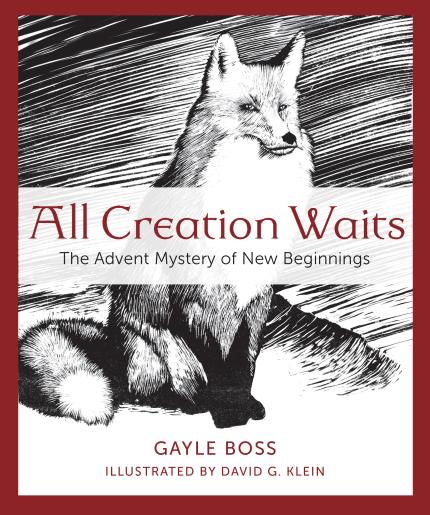 A fox is featured on the cover of the new book All Creation Waits.