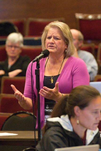Gail De Young, Classis Red Mesa: People from Red Mesa asked her to please tell the stories of love and grace and goodness that have happened in Rehoboth and Zuni Christian schools. 