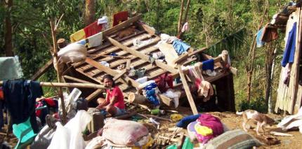 Typhoon survivor attempts to salvage some of her family's belongings from the wreckage of Haiyan